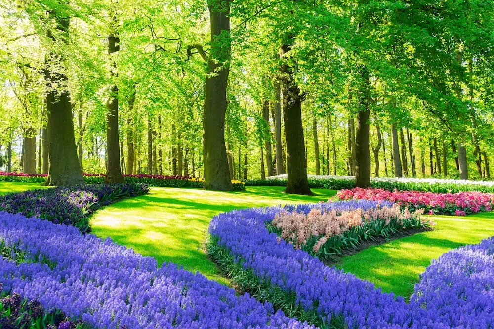 landscaping types features