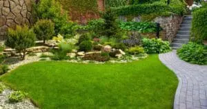 landscape design company