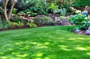 landscaping grading services