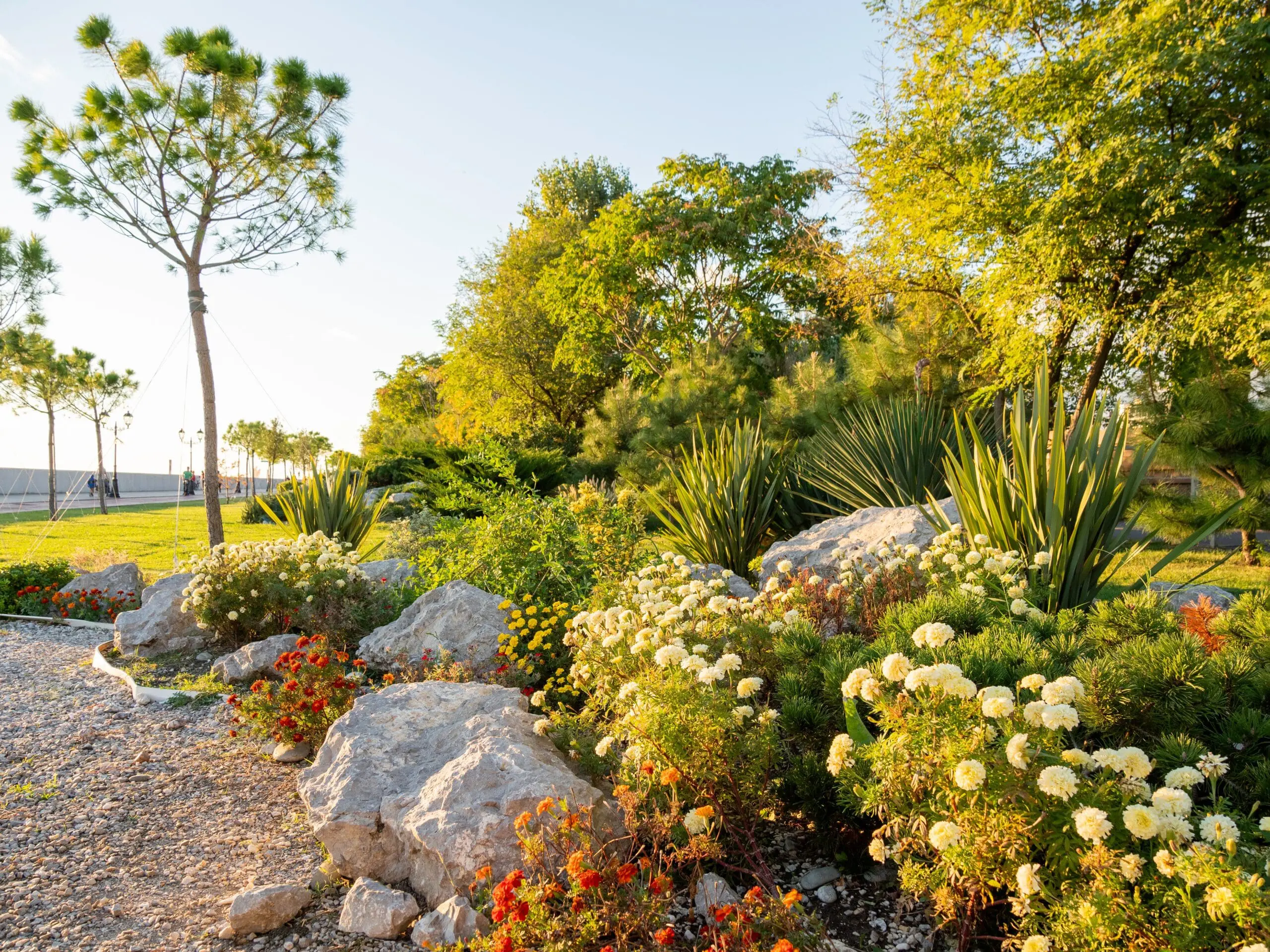 Xeriscaping