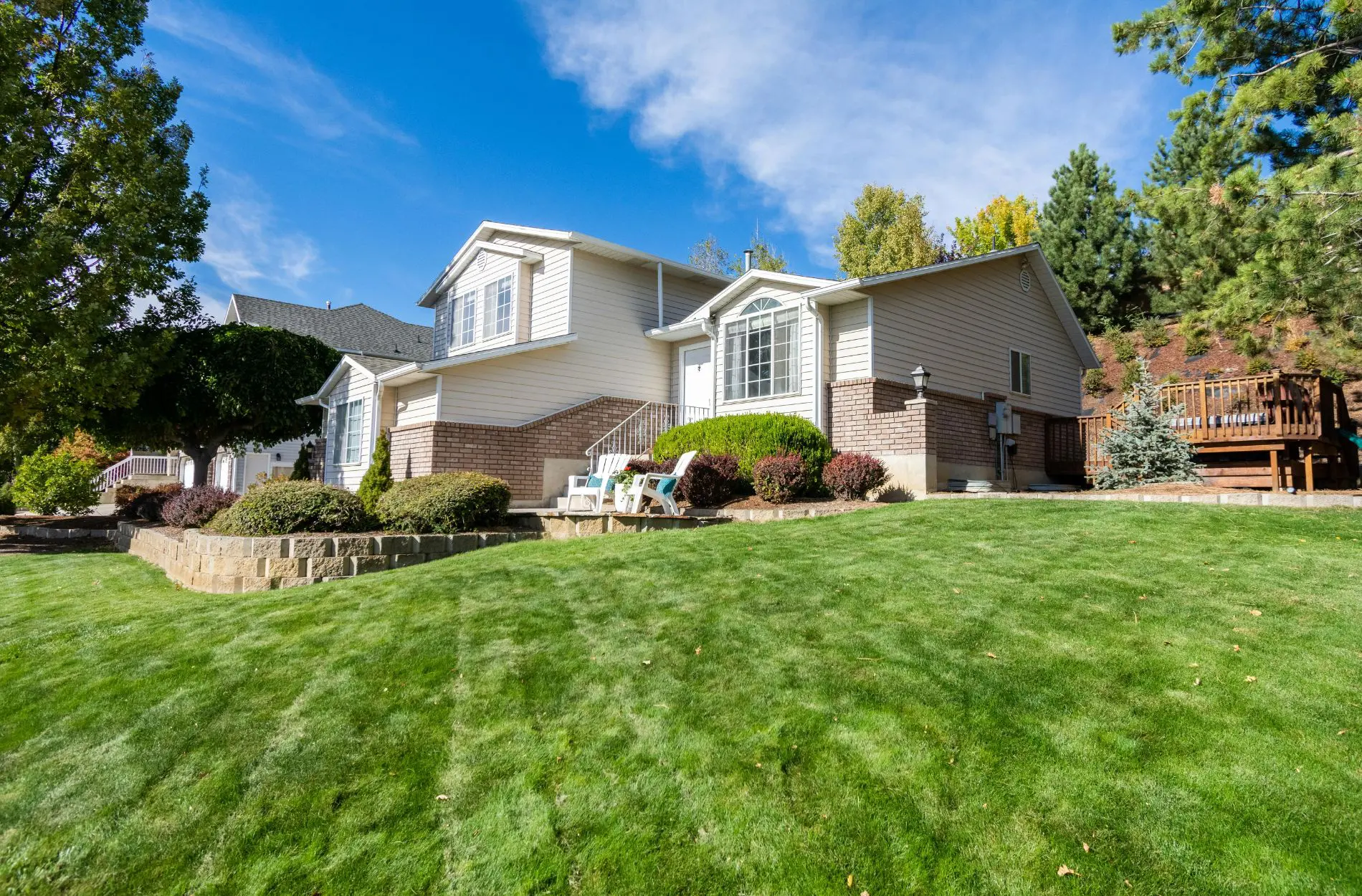 front yard