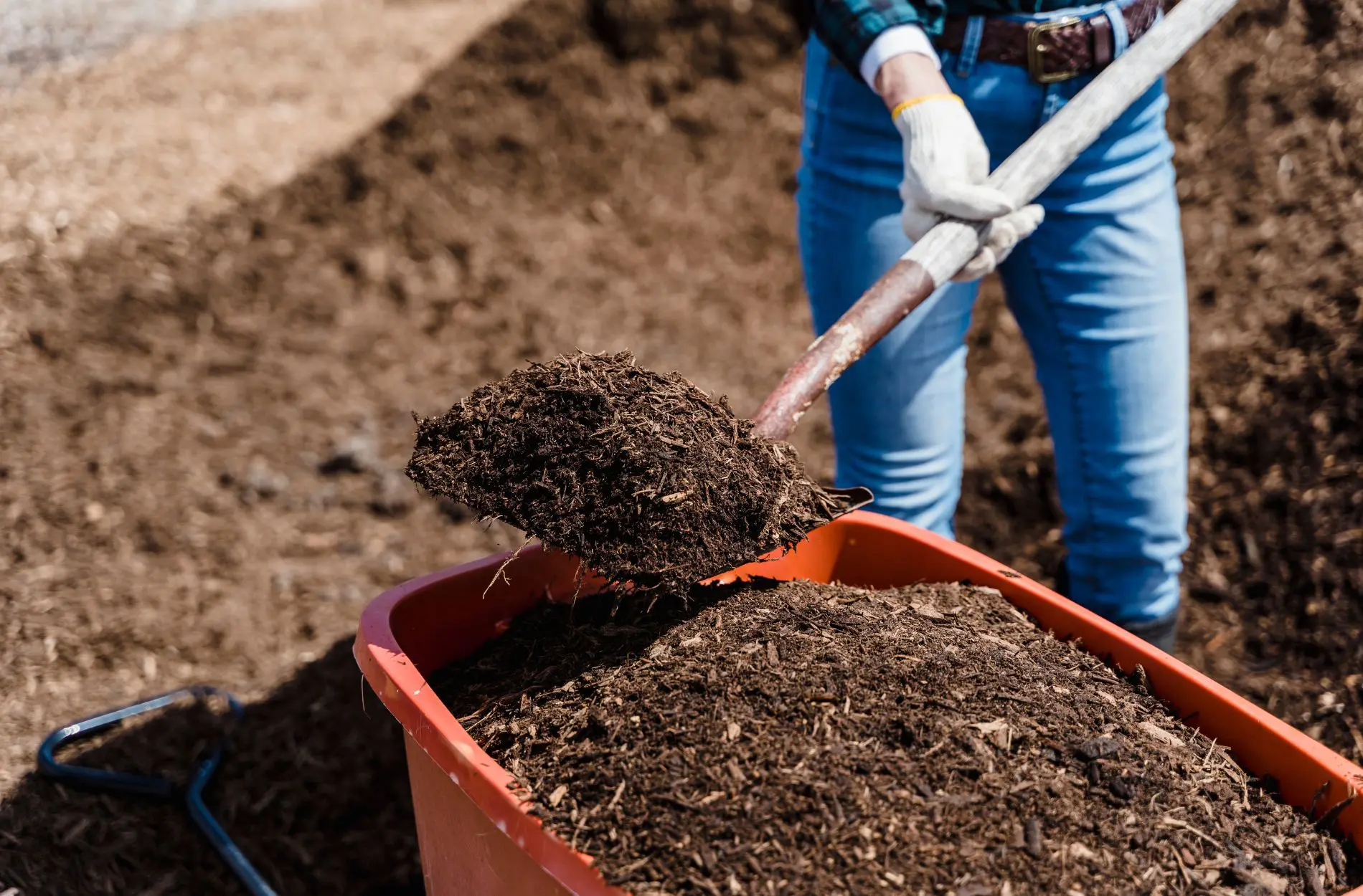 mulch