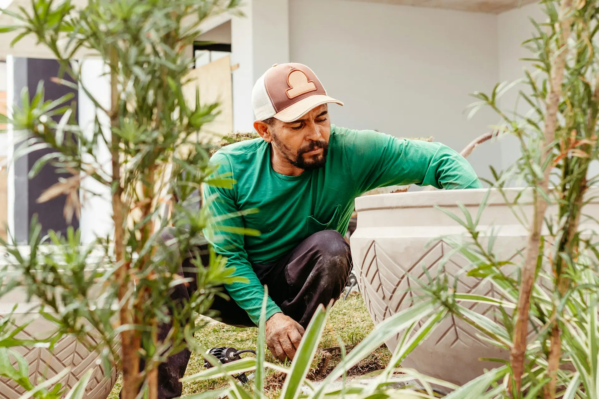Landscape Plants