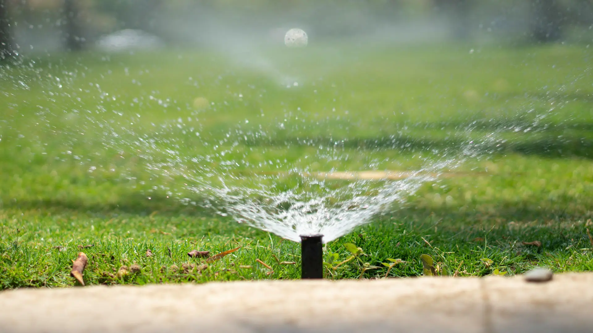 Sprinkler System