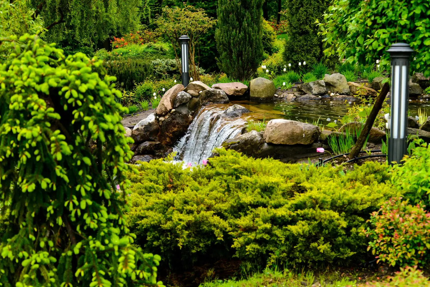 landscape