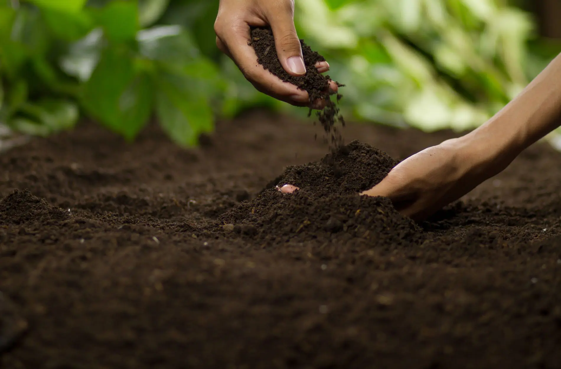 soil quality