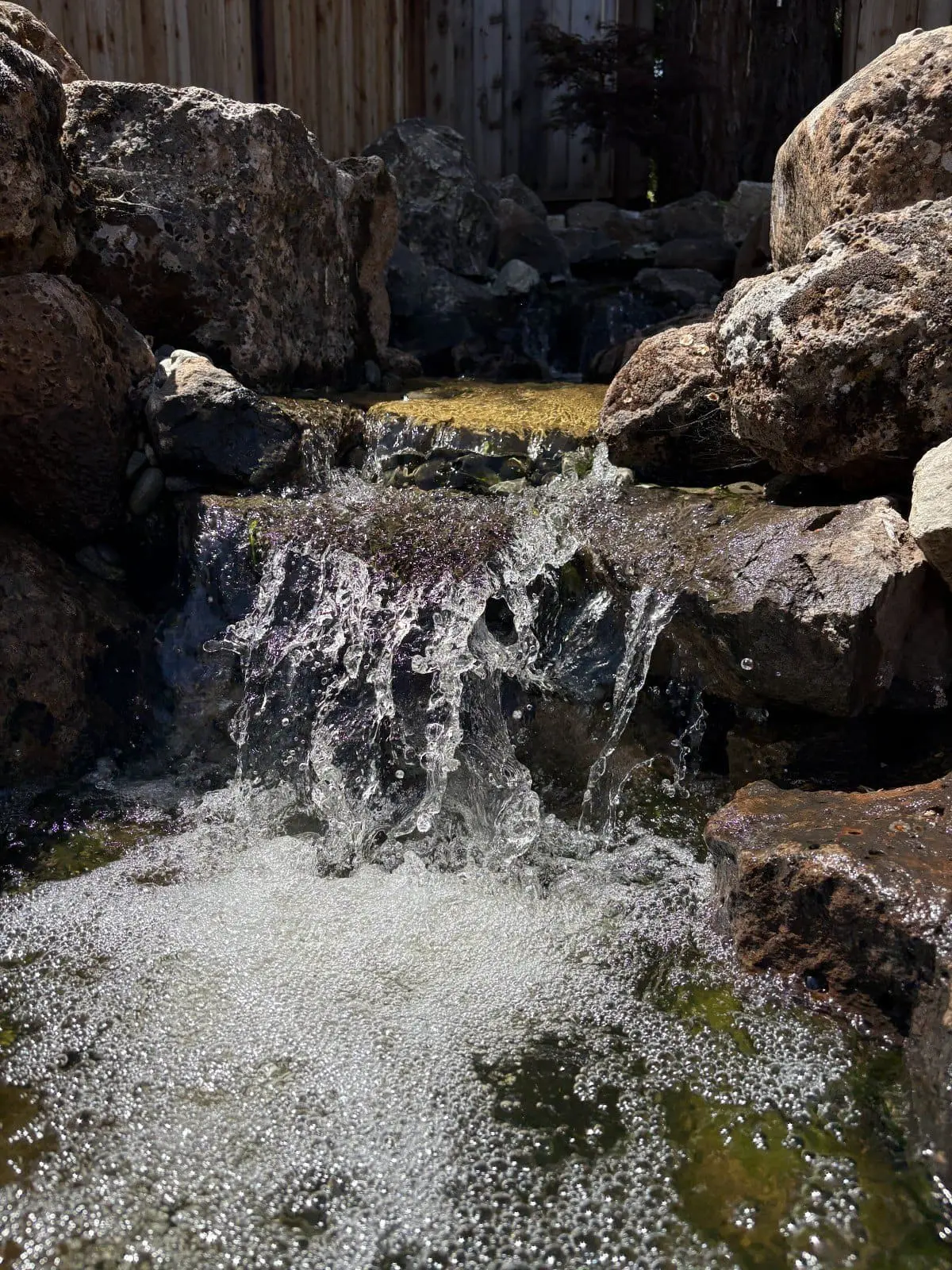 Keystone Yards outdoor plumbing and irrigation water feature featuring a stone pond, cascading waterfall, and lush landscaping in Napa, CA.