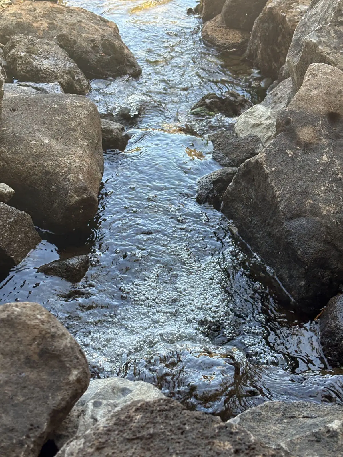 Clear stream water flowing over natural stones for an Exterior Plumbing & Irrigation system installation in Napa, CA.