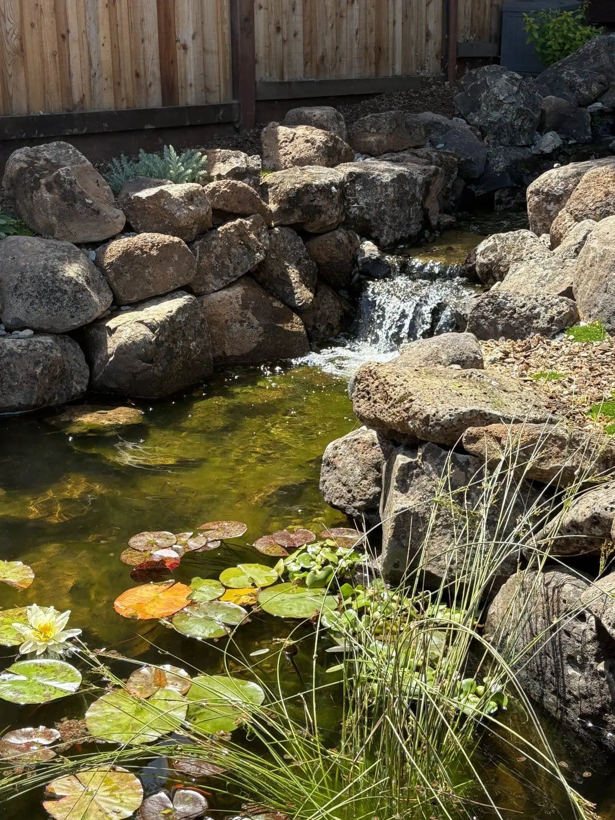 Keystone Yards exterior plumbing and irrigation water feature featuring a stone pond, cascading waterfall, and lush landscaping in Napa, CA.