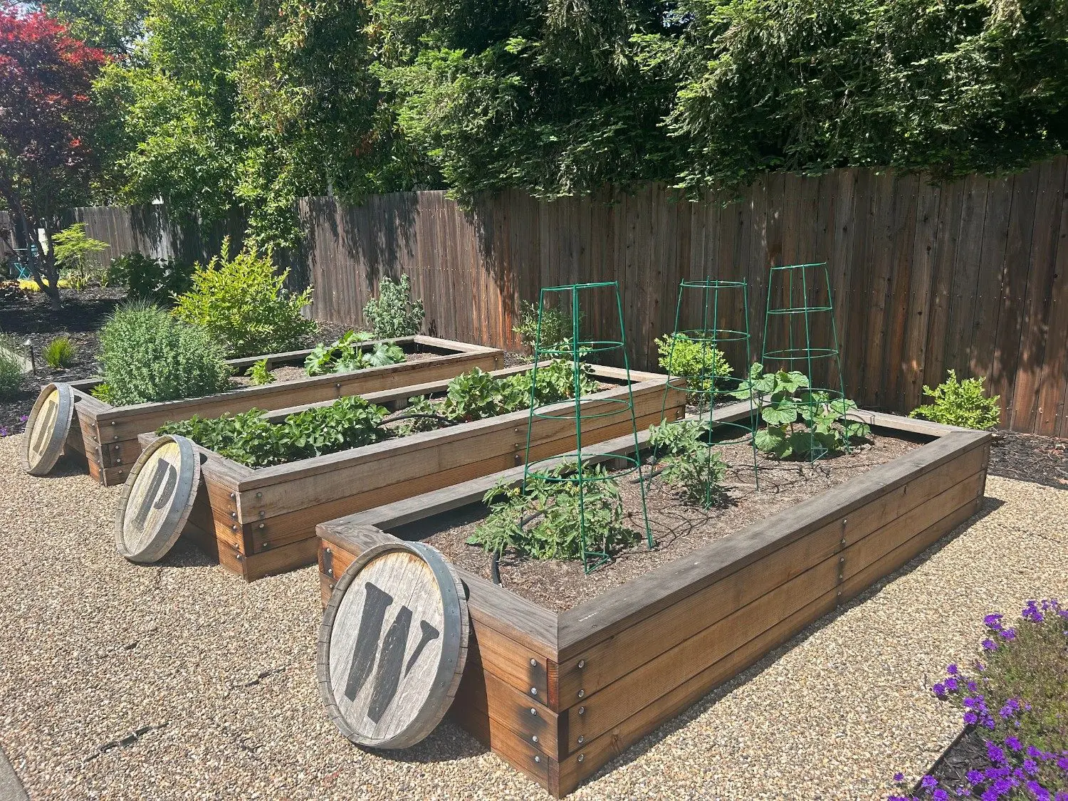 Custom wooden raised garden beds and outdoor carpentry installation in a Napa, CA backyard.