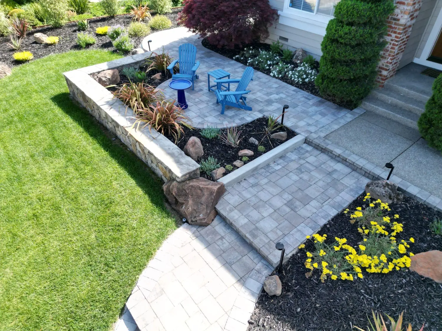 Front yard paver patio with blue Adirondack chairs and a birdbath, framed by a stone retaining wall, succulent bed, and Japanese maple, an example of landscape design in Deer Park, CA by Keystone Yards.