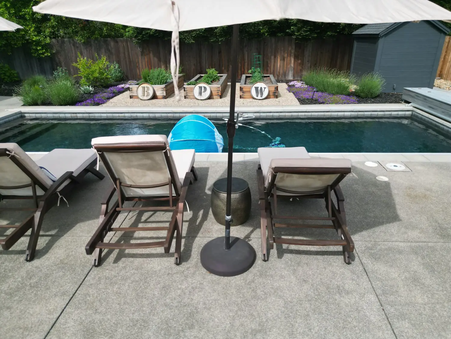Backyard poolside lounge area with custom pool and patio chairs designed by keystone-yards-healdsburg-ca