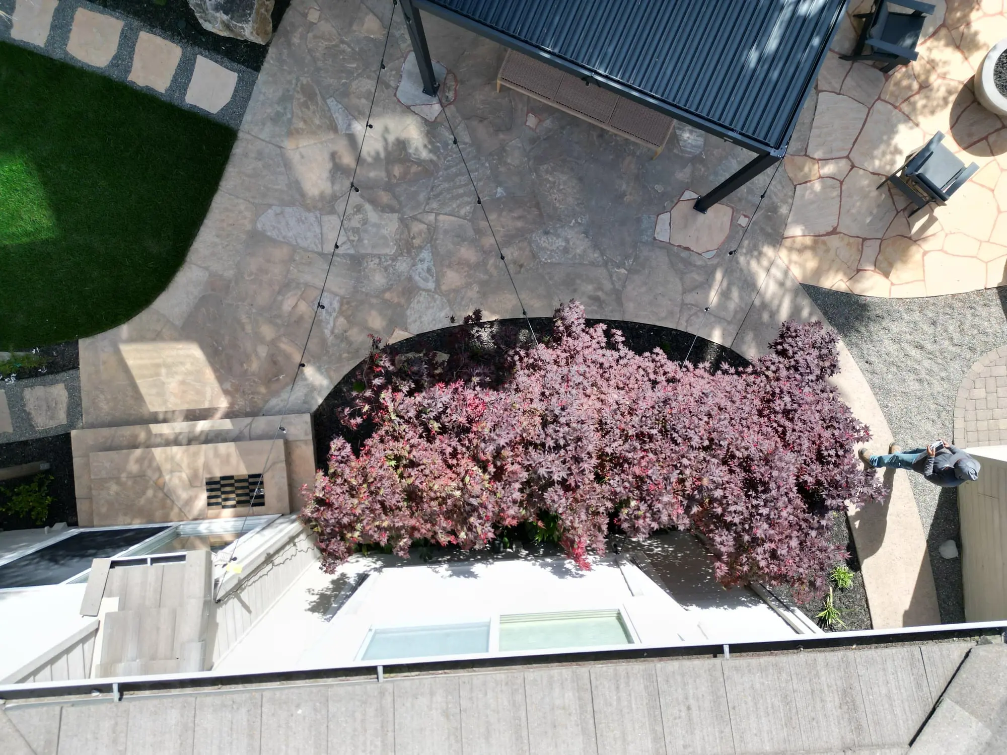 Aerial view of a flagstone patio by Keystone Yards with a covered pergola seating area, a low stone wall bordering a sunken pool, and a sprawling Japanese maple in a curved planting bed.