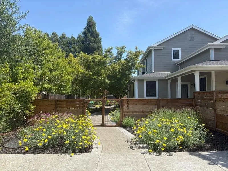 Wood gate entrance to a backyard flanked by yellow and purple flowering beds, leading to a gray craftsman-style home, landscaped by Keystone Yards.