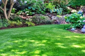 landscaping grading services