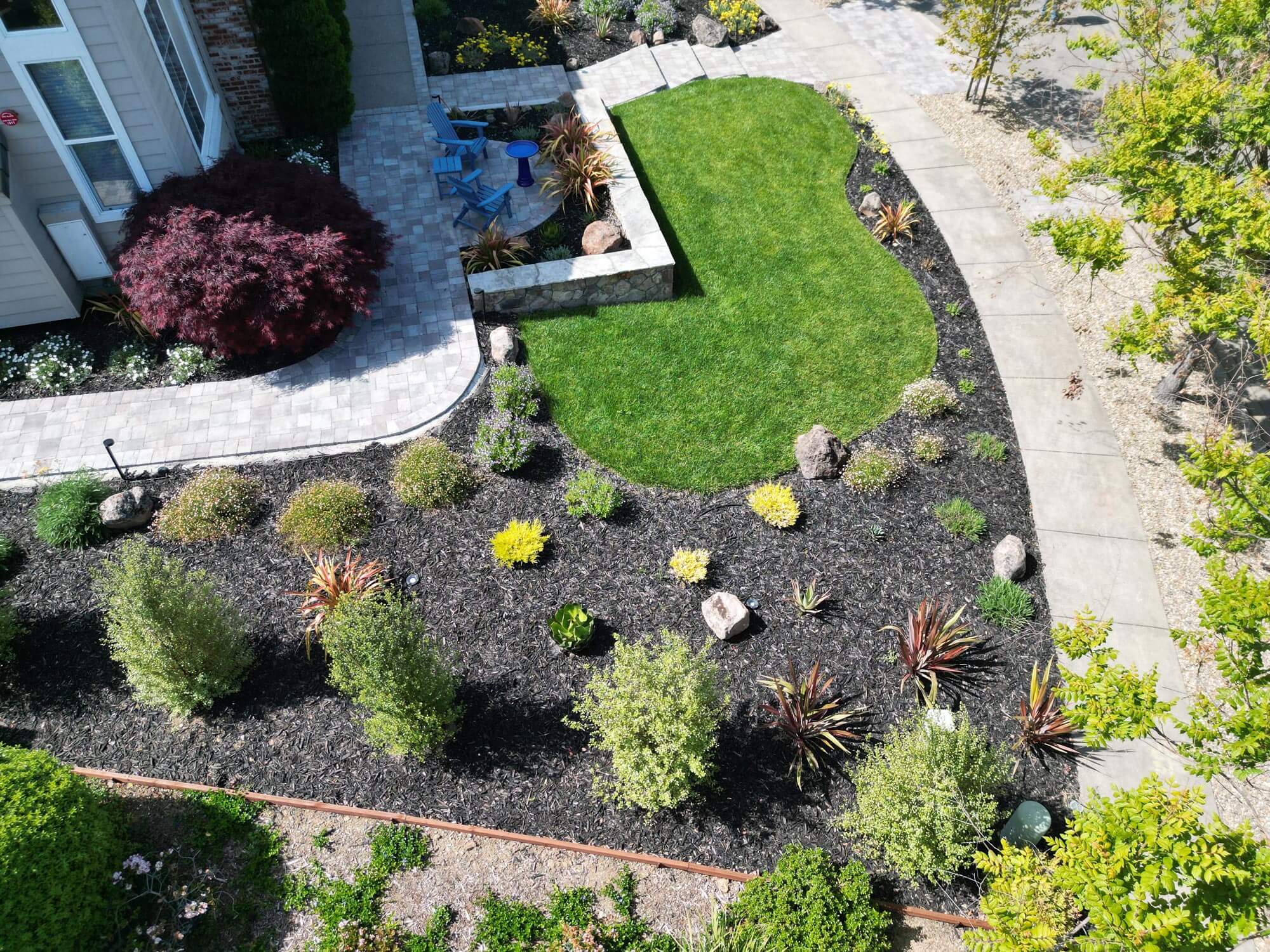 Aerial view of a landscaped side yard by Keystone Yards, with a curved lawn, mulched planting beds of ornamental grasses and succulents, a paver patio with blue Adirondack chairs, and a Japanese maple by the house.
