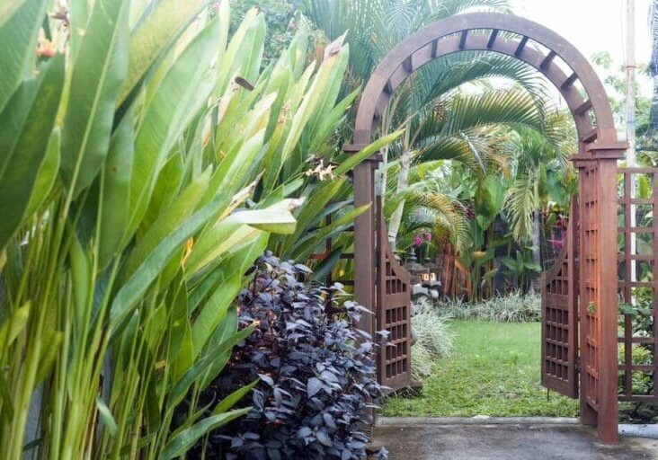Wooden garden archway surrounded by lush tropical plants and palm trees