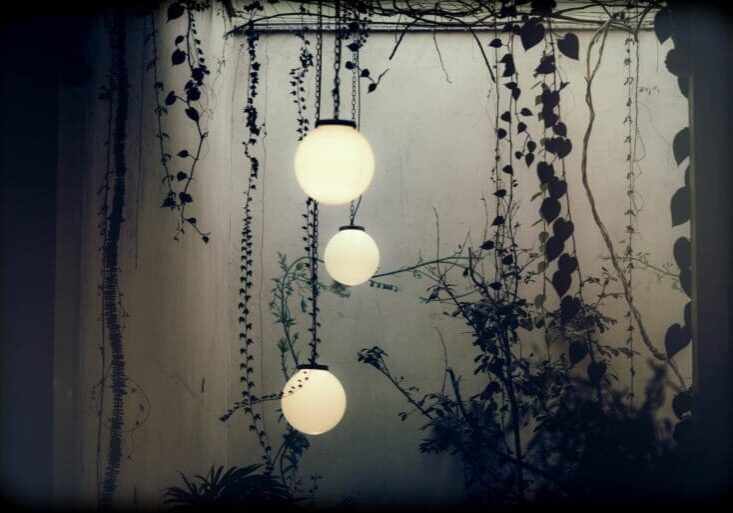 Hanging globe outdoor lights surrounded by climbing vines at night
