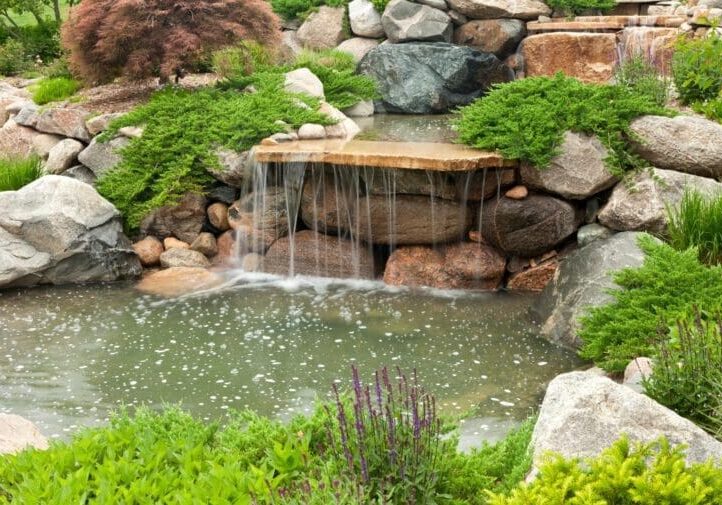 Custom backyard pond with natural stone waterfall, creeping ground cover, Japanese maple, and lush garden plantings