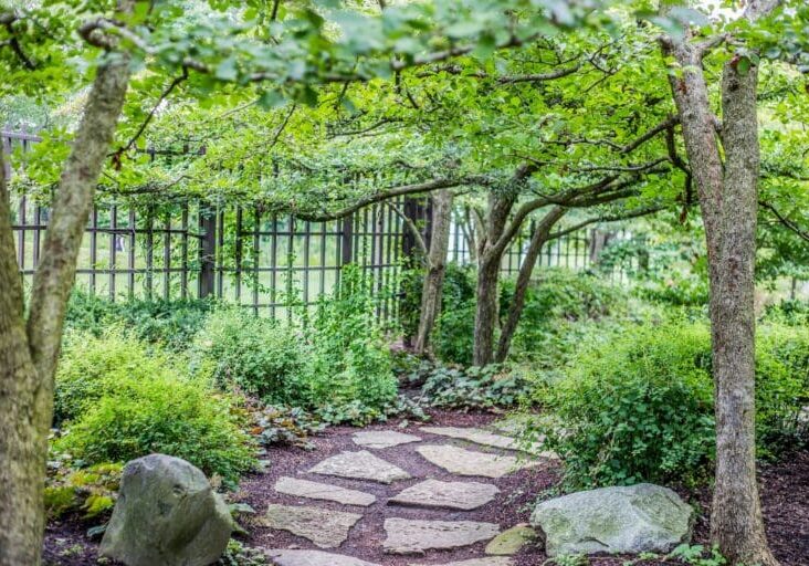 Shaded garden stone pathway with flagstone steps, mature trees, climbing vines, and lush ground cover plants