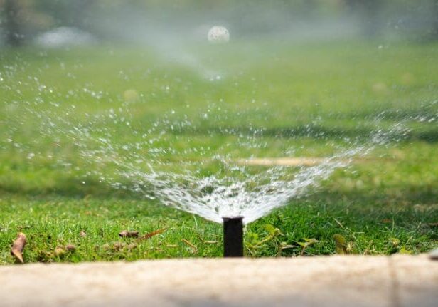 Close-up of a lawn sprinkler head irrigating a lush green grass lawn with a fine water spray