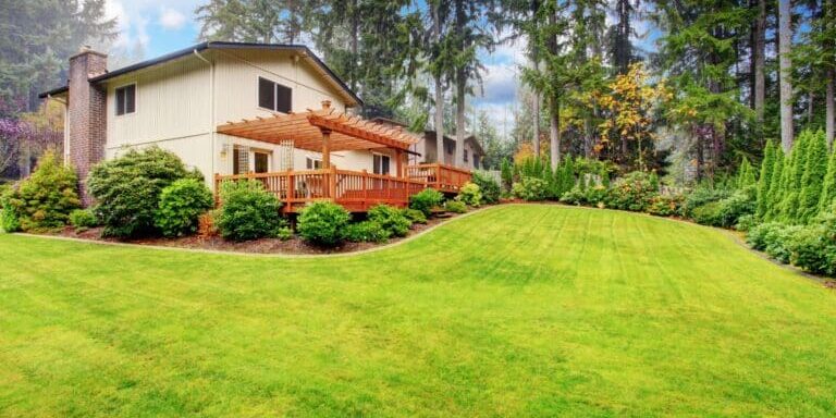 landscaping landscaping