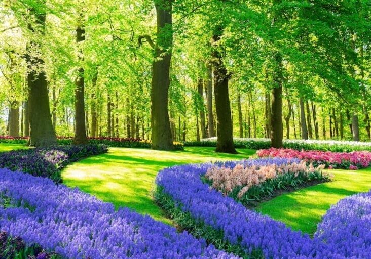 Lush garden with colorful spring flower beds and tall shade trees