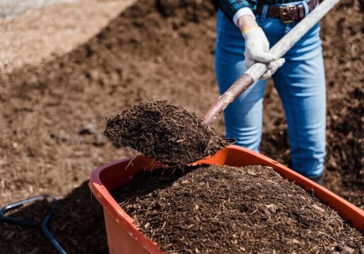 Landscaper shoveling dark mulch into a wheelbarrow during professional garden bed installation and maintenance