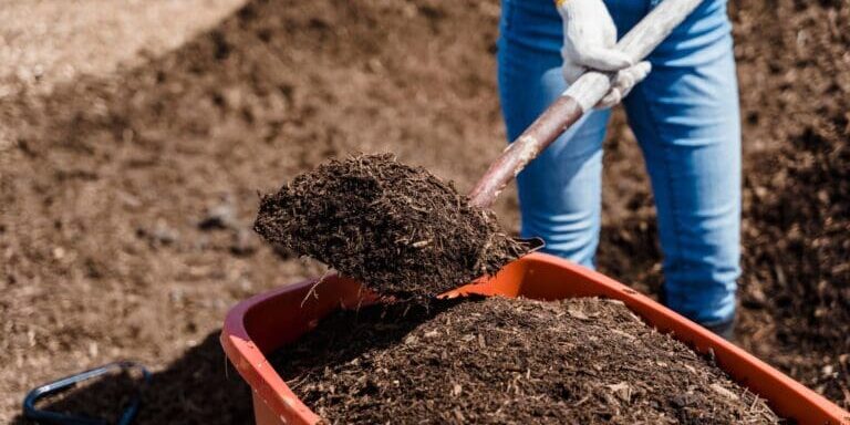 mulch mulch