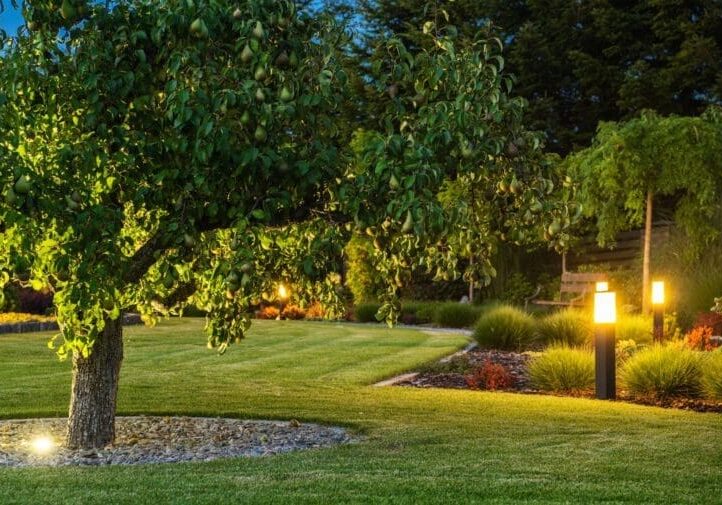 Residential garden at dusk featuring a fruit tree, manicured lawn, and warm outdoor pathway lighting