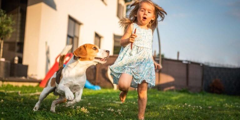 pet-friendly backyard