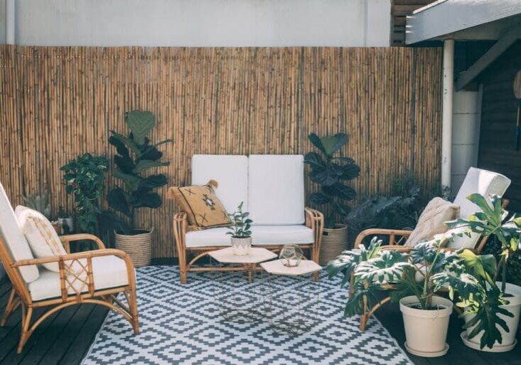 Outdoor patio with decorative plants and modern lounge seating area