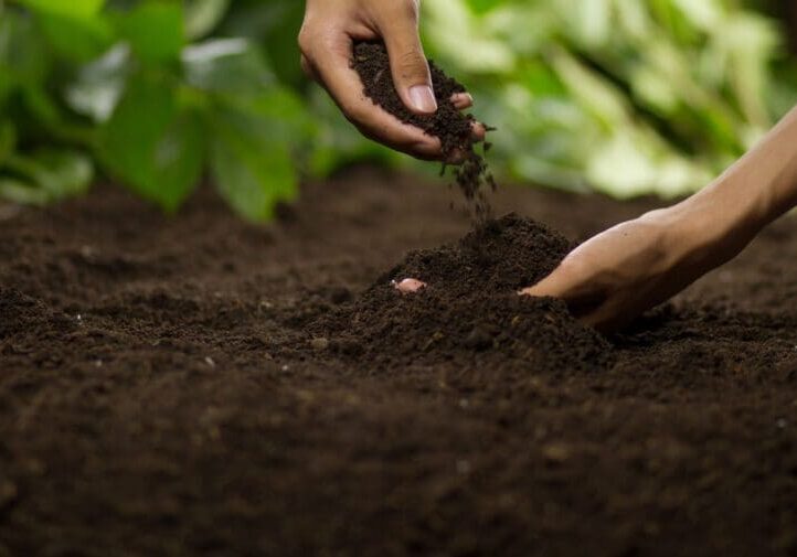 Hands adding rich dark soil to a garden bed representing healthy soil preparation for professional landscaping