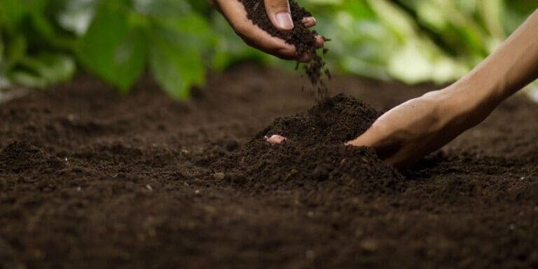 soil quality