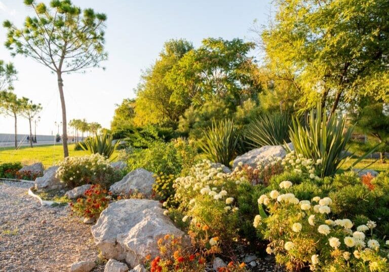 Drought-tolerant landscape with flowering plants, agave, decorative boulders, and gravel pathway in warm sunlight
