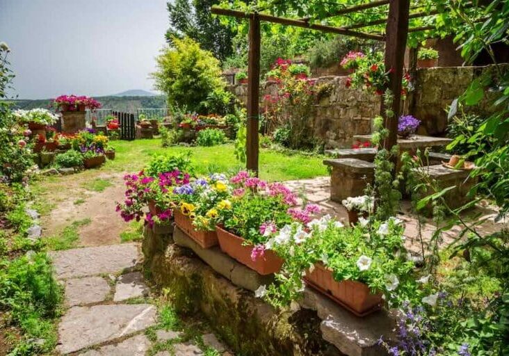 vineyard-inspired landscape design ideas